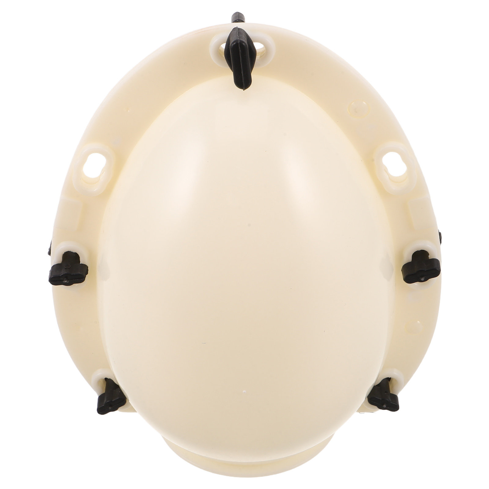 Jumbo 20Cm Easter Egg Mold 3D  - Soap Making Ins 评论和价格